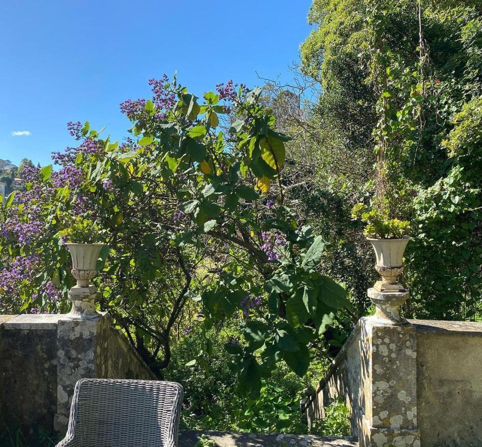 Hotel Casa Holstein Quinta De Sao Sebastiao Sintra Extérieur photo